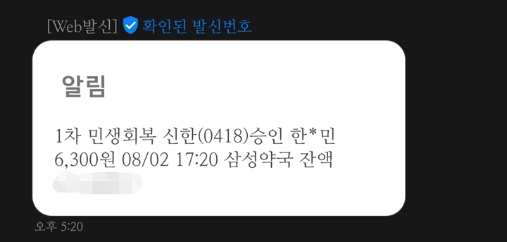 약국에서 민생회복 소비쿠폰으로 비상 상비약들을 구매했다.