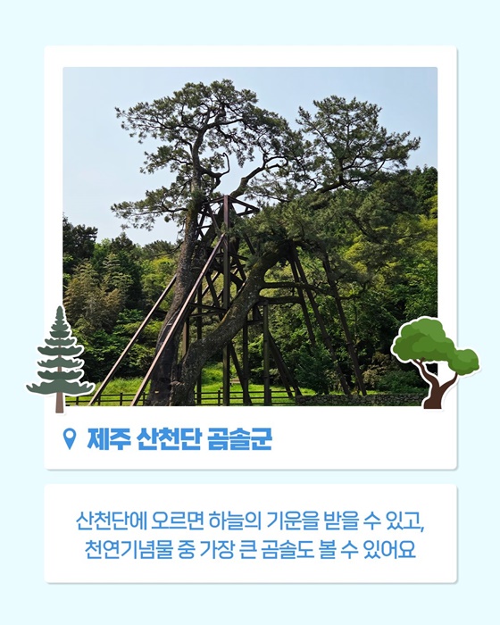 쉿! 제주에 이런 자연유산이?