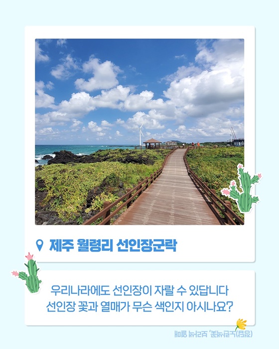 쉿! 제주에 이런 자연유산이?