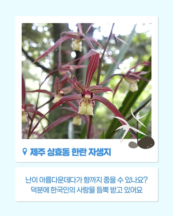 쉿! 제주에 이런 자연유산이?