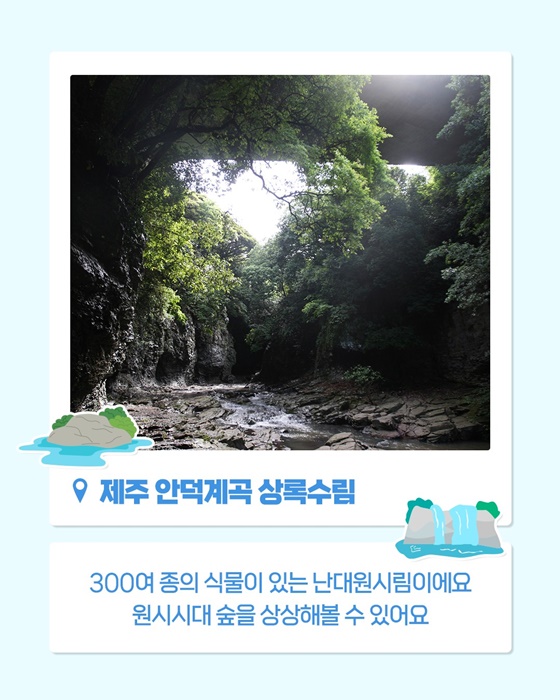 쉿! 제주에 이런 자연유산이?