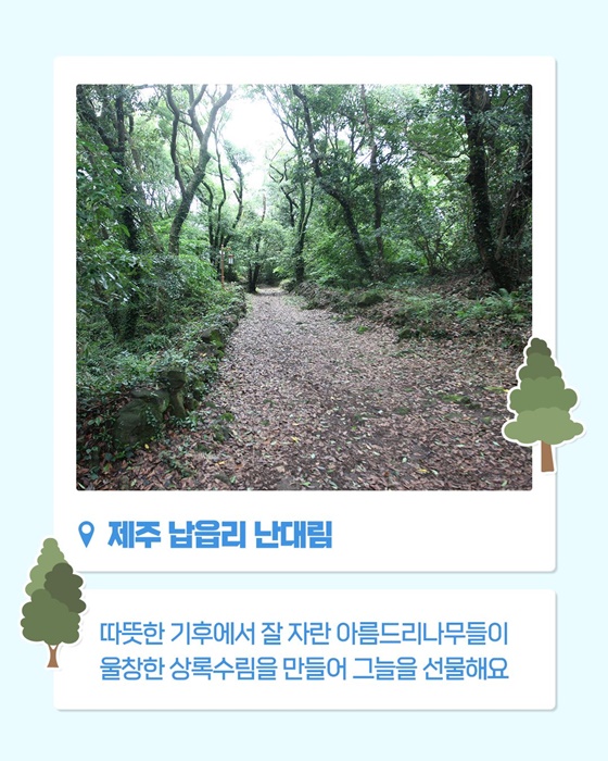 쉿! 제주에 이런 자연유산이?