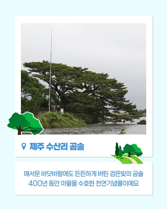 쉿! 제주에 이런 자연유산이?