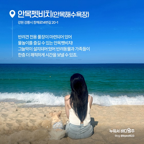 소중한 가족과 함께, 반려동물 전용 해수욕장