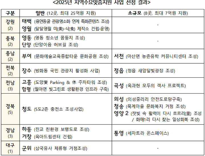 2025년 지역수요맞춤지원 사업 선정 결과(표=국토교통부 제공)