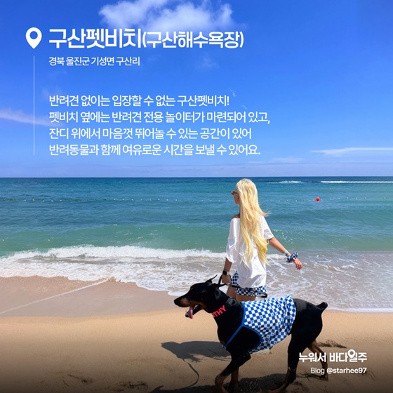소중한 가족과 함께, 반려동물 전용 해수욕장