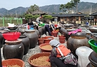 충북 증평군 농촌체험휴양마을 '장이 익어가는 마을'에서 전통 장(醬) 가르기를 하고 있다. 2025.4.14 (ⓒ뉴스1, 무단 전재-재배포 금지)