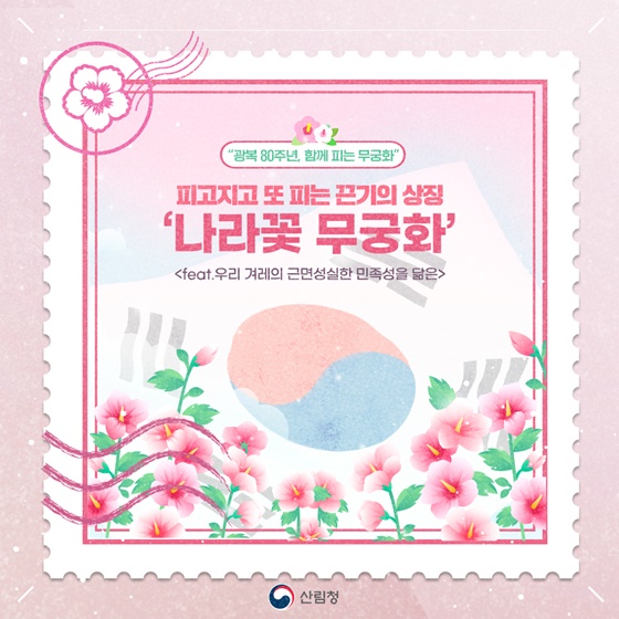 피고지고 또 피는 끈기의 상징 나라꽃 무궁화