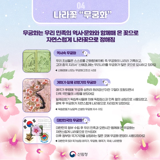 피고지고 또 피는 끈기의 상징 나라꽃 무궁화