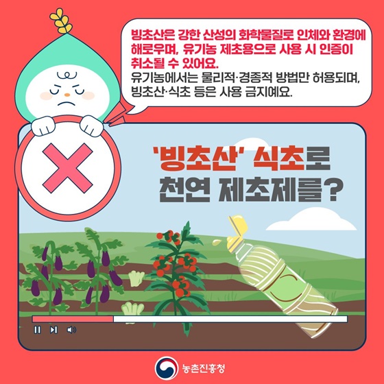 위험한 가짜농법! 혹시 따라 하고 계시나요?