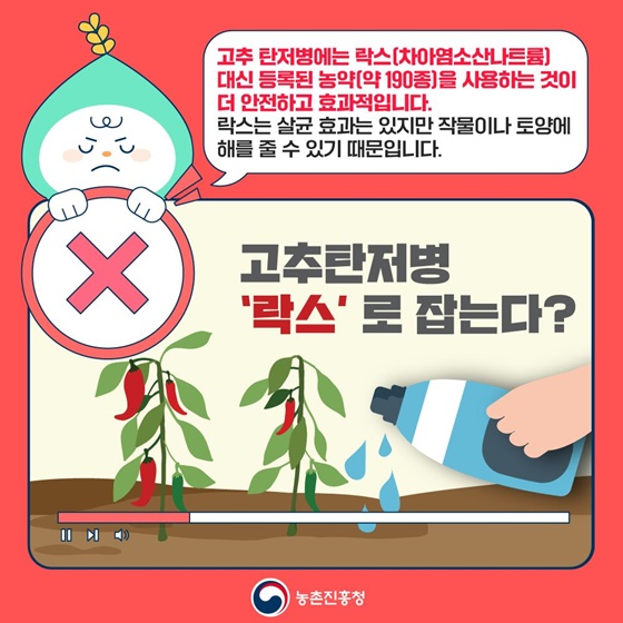 위험한 가짜농법! 혹시 따라 하고 계시나요?