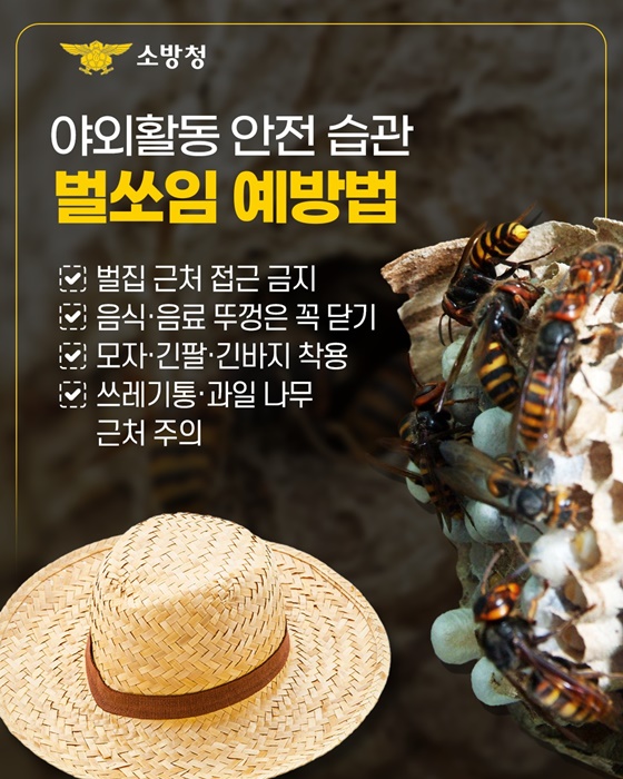 태양보다 뜨거운 위험 벌쏘임 경보