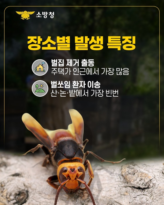 태양보다 뜨거운 위험 벌쏘임 경보