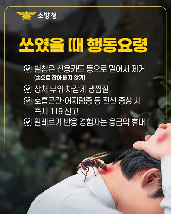 태양보다 뜨거운 위험 벌쏘임 경보