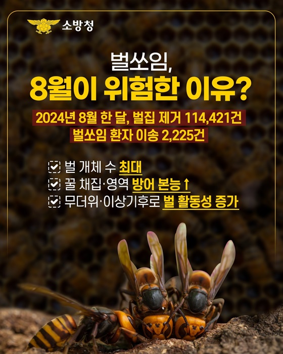 태양보다 뜨거운 위험 벌쏘임 경보
