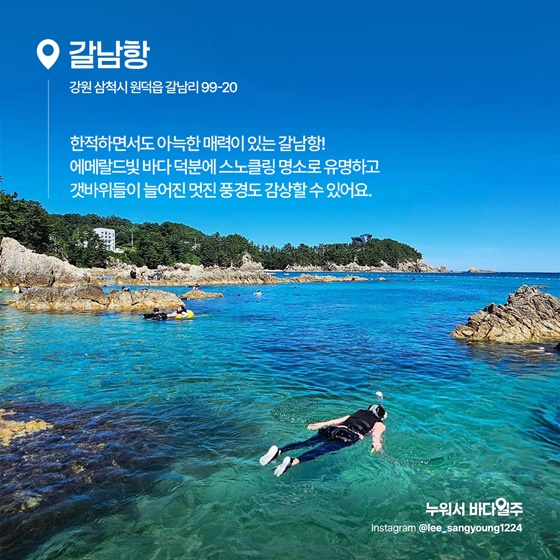 파란 물결 아래, 또 하나의 세상 스노클링 명소