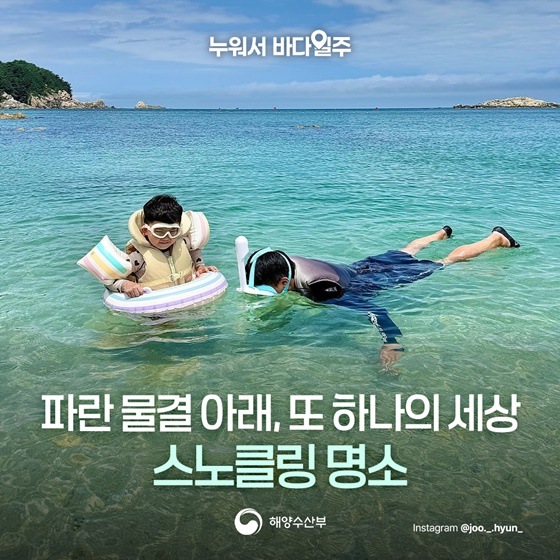 파란 물결 아래, 또 하나의 세상 스노클링 명소