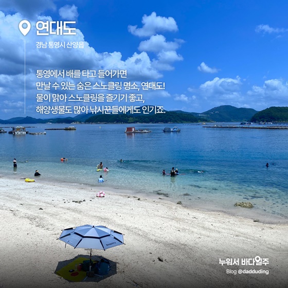 파란 물결 아래, 또 하나의 세상 스노클링 명소