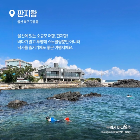 파란 물결 아래, 또 하나의 세상 스노클링 명소