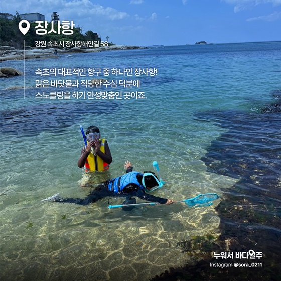 파란 물결 아래, 또 하나의 세상 스노클링 명소