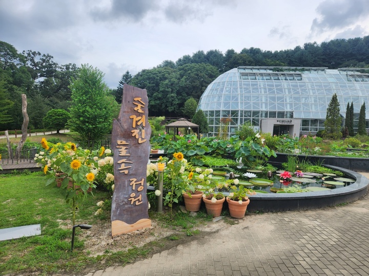 숨겨진 물속 정원, 습지를 만나다 전시.