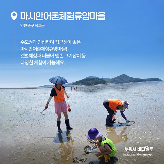 아이와 함께 즐기는 갯벌 어촌체험마을 추천