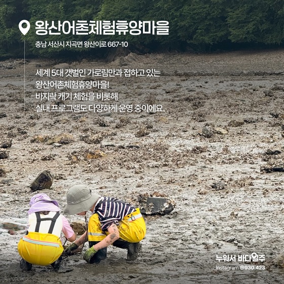아이와 함께 즐기는 갯벌 어촌체험마을 추천