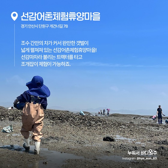아이와 함께 즐기는 갯벌 어촌체험마을 추천
