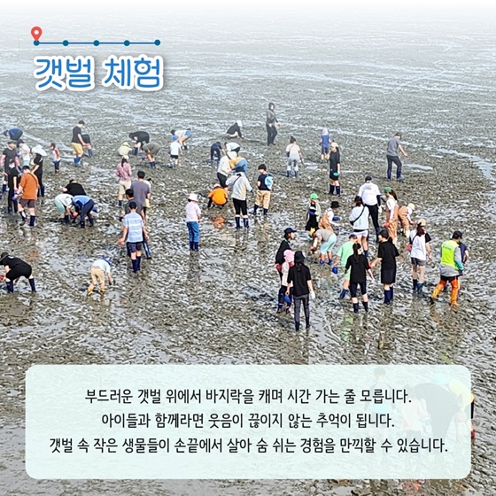 경기 화성 궁평리마을
