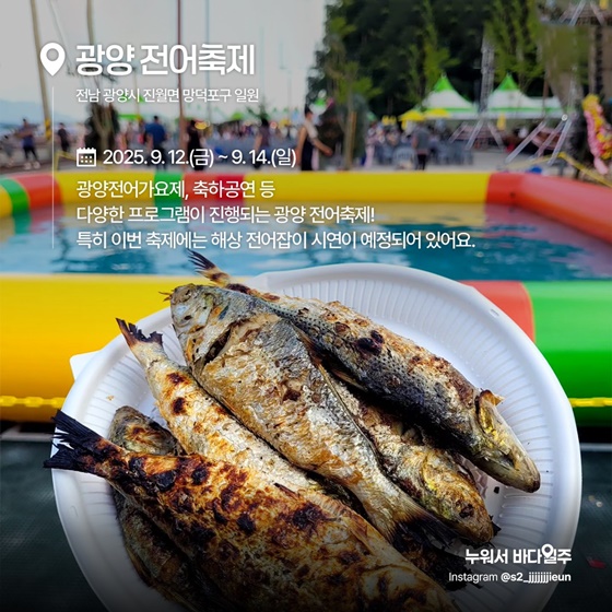 지금 꼭 가봐야 할 수산물 축제
