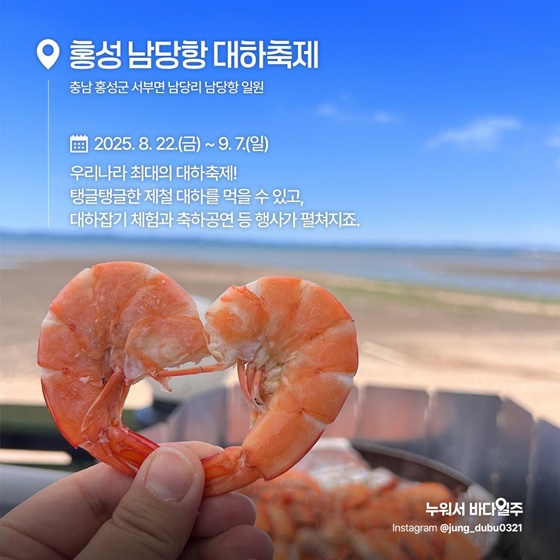 지금 꼭 가봐야 할 수산물 축제