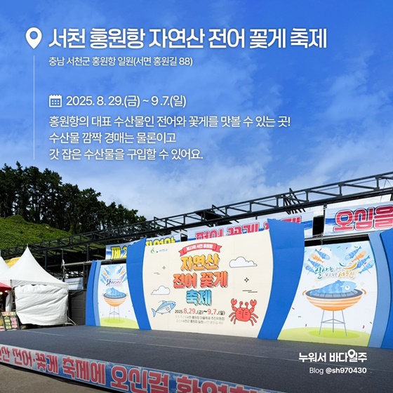 지금 꼭 가봐야 할 수산물 축제