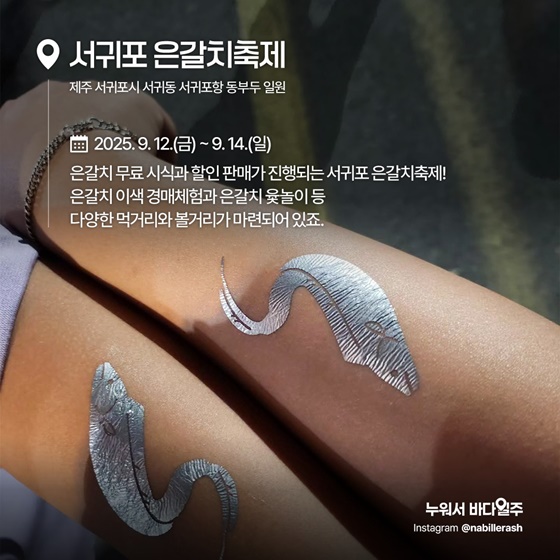 지금 꼭 가봐야 할 수산물 축제