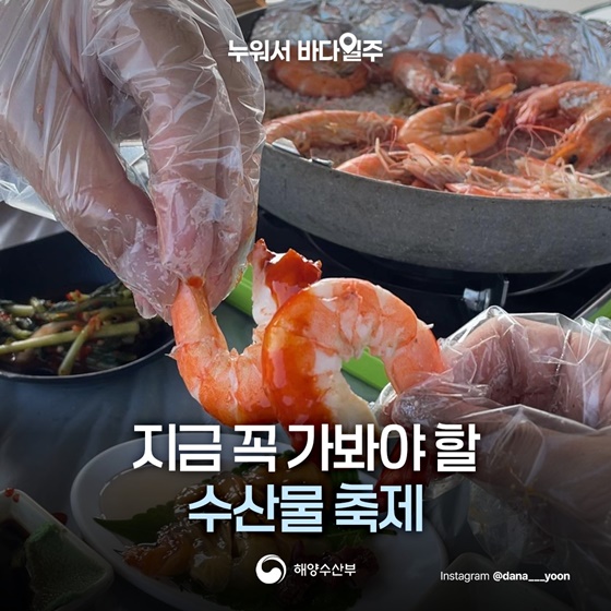 지금 꼭 가봐야 할 수산물 축제