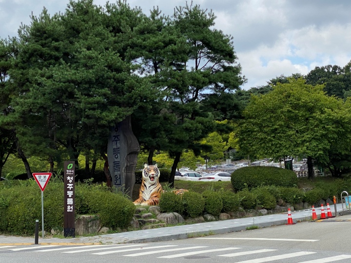 '청주동물원'이라고 적힌 세로 간판 옆에 호랑이 모형이 앉아 있다.