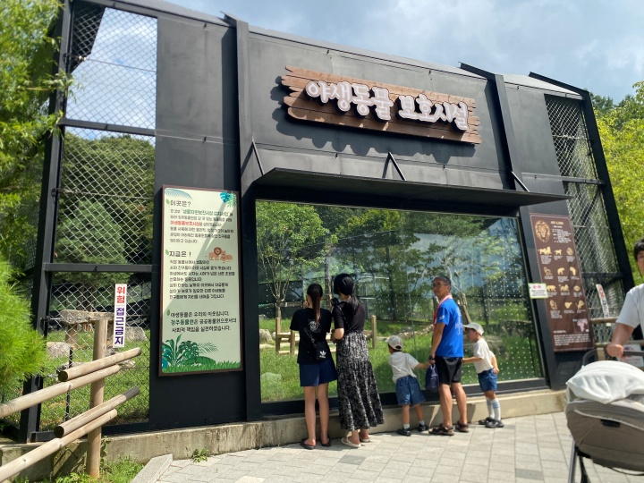 맨 위에 '야생동물 보호시설'이라 적혀있고, 그 아래 사자와 관련된 설명과 우리 안이 보인다.
