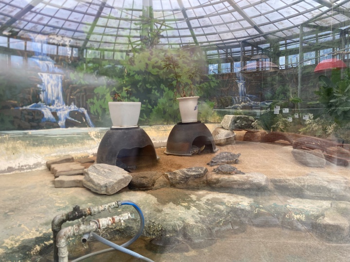 실내 거북 전시 공간. 돌과 모래, 작은 수조가 마련되어 있으며, 여러 마리 거북이와 은신처, 화분이 놓여 있다. 배경 벽에는 폭포와 숲 그림이 그려져 있다.