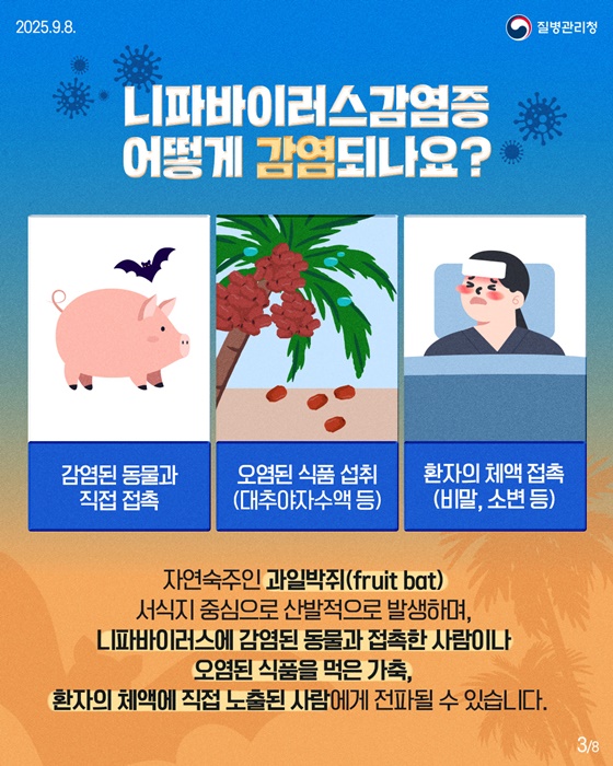 니파바이러스감염증 제대로 알아보기