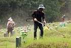 추석을 보름 앞둔 지난해 9월 2일 광주 북구 시립묘지에서 관계자들이 벌초하고 있다. 2024.9.2(사진=저작권자(c) 연합뉴스, 무단 전재-재배포 금지)