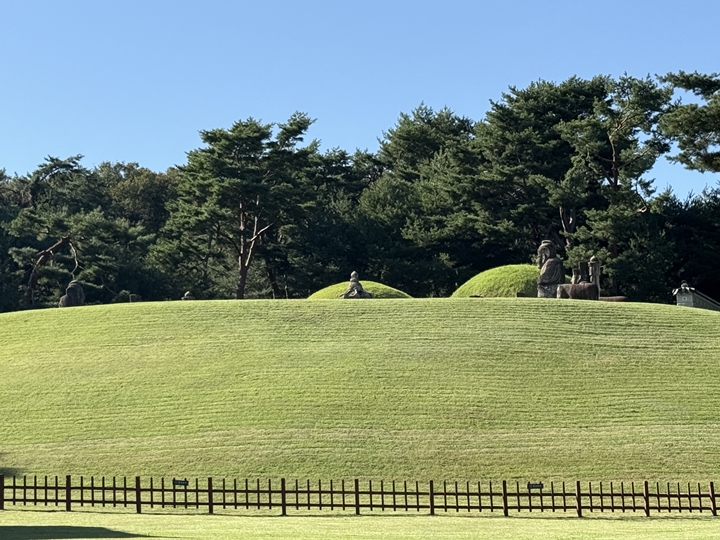 강릉의 모습.