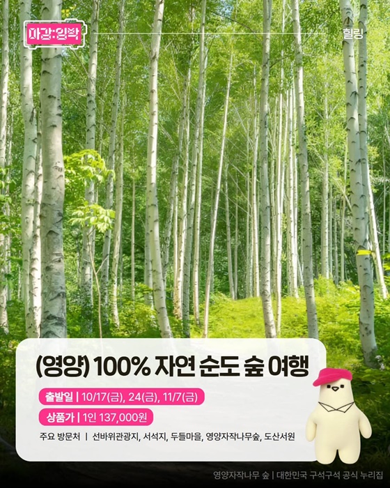 여행가는 가을, 지금 가야 할 테마여행