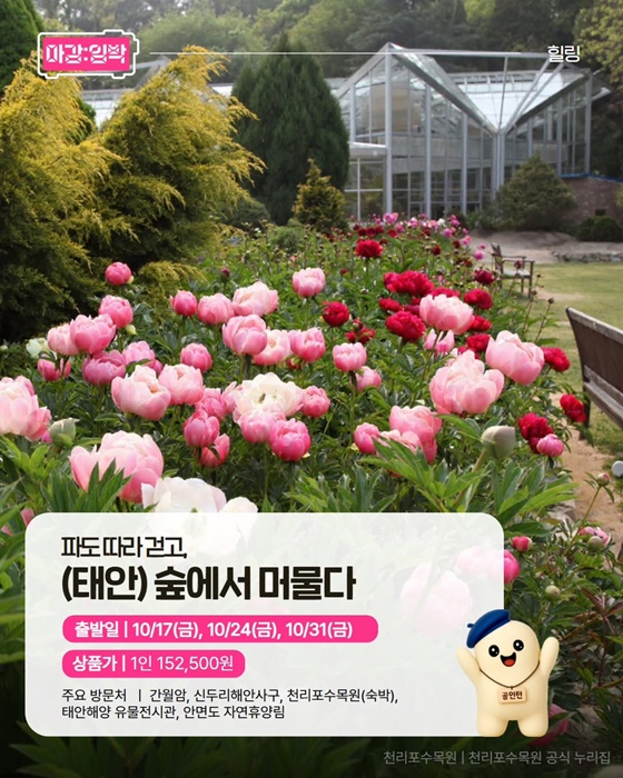 여행가는 가을, 지금 가야 할 테마여행