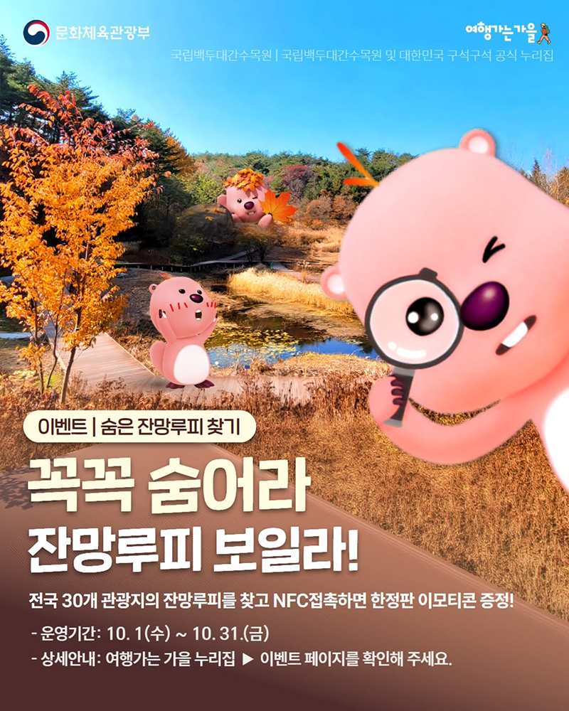 꼭꼭 숨어라 잔망루피 보일라! 하단내용 참조