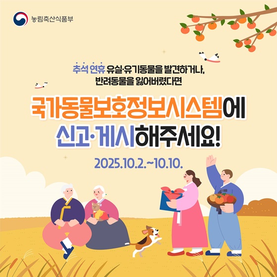 추석 연휴 반려동물 잃어버렸다면? 