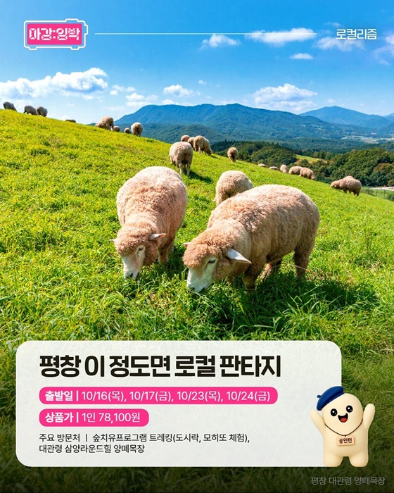 여행가는 가을, 지금 가야 할 테마여행