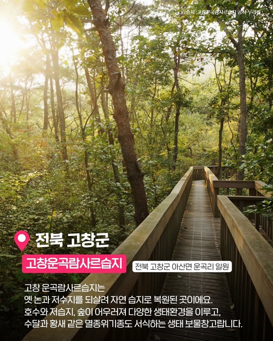 발걸음 닿는 곳마다 발견의 즐거움! 나만 알고 싶은 국내 비밀여행지