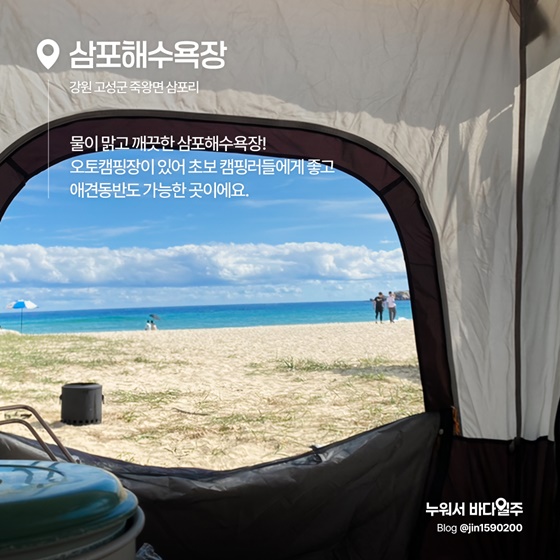 바다도 보고 캠핑도 하고 오션뷰 캠핑 명소
