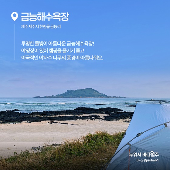 바다도 보고 캠핑도 하고 오션뷰 캠핑 명소