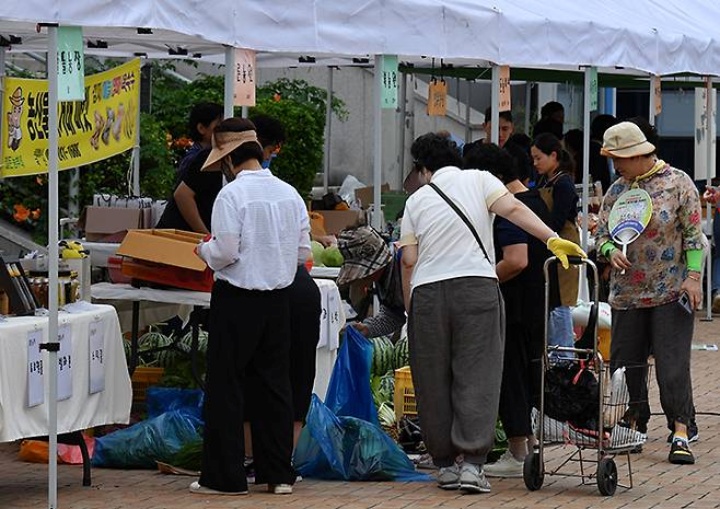 경북 포항시 남구 시청 앞 광장에서 열린 추석맞이 직거래장터를 찾은 시민들이 제수용품을 구입하고 있다. 2024.9.12 (ⓒ뉴스1, 무단 전재-재배포 금지)