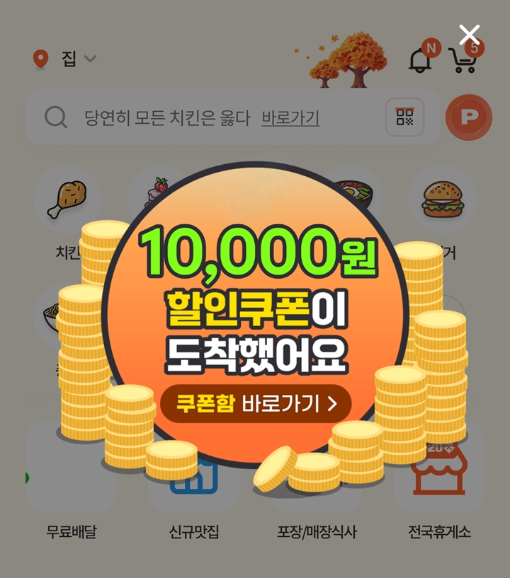 알뜰살뜰하게 사용했던 1만 원 쿠폰까지!